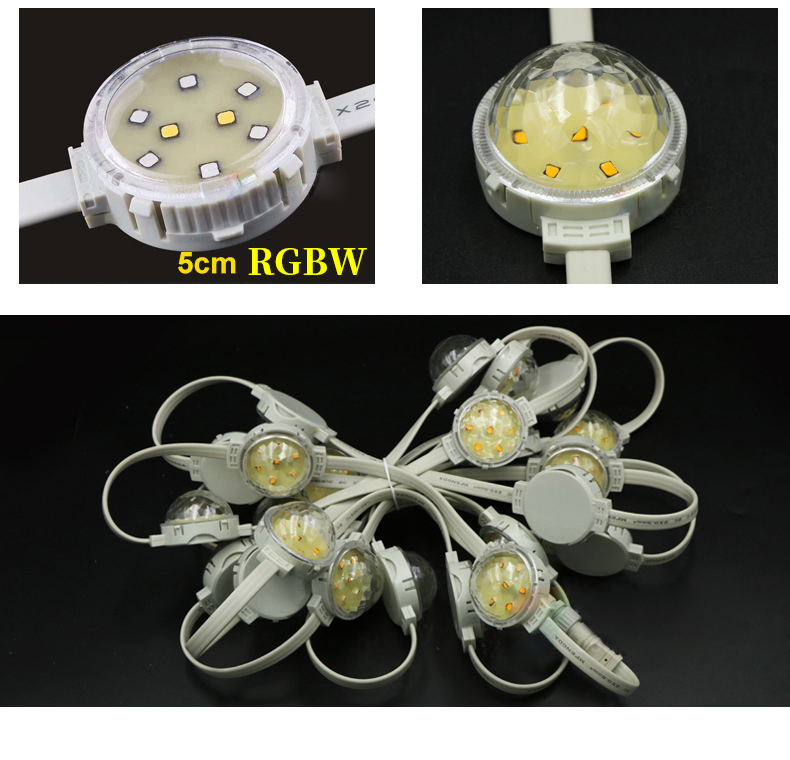 DC12/24V DMX512 Addressable RGB/RGBW Full-color Programmable Digital LED Point Light Pixel Module Light String DC12/24V DMX512 Addressable RGB/RGBW Full-color Programmable Digital LED Point Light Pixel Module Light String
